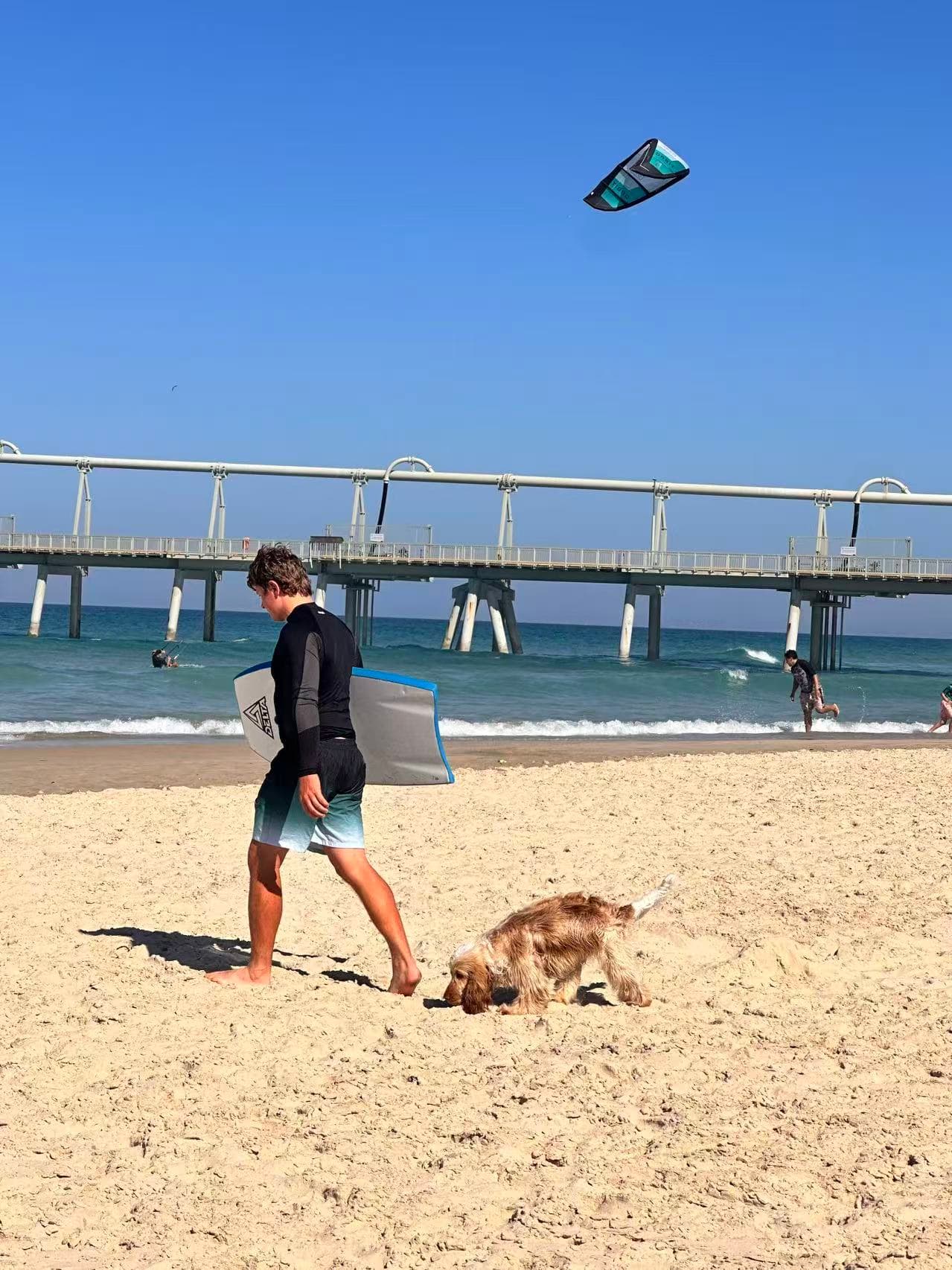 Federation Walk Coastal Reserve (The Spit, Gold Coast) – dog-friendly walk in Main Beach