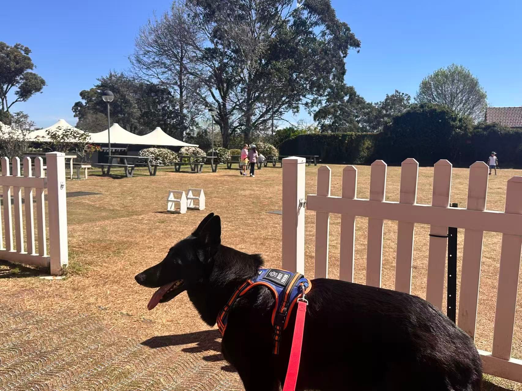 The Diddy (Longueville Sporting Club)