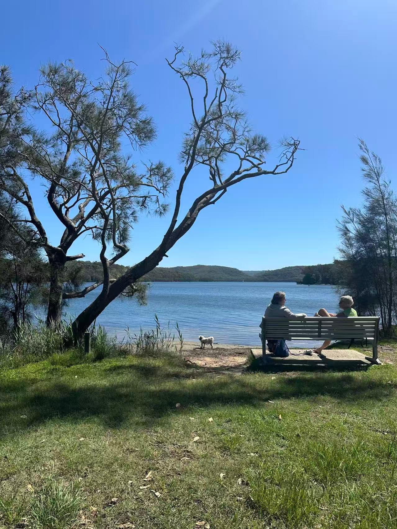 Narrabeen Lagoon Trail