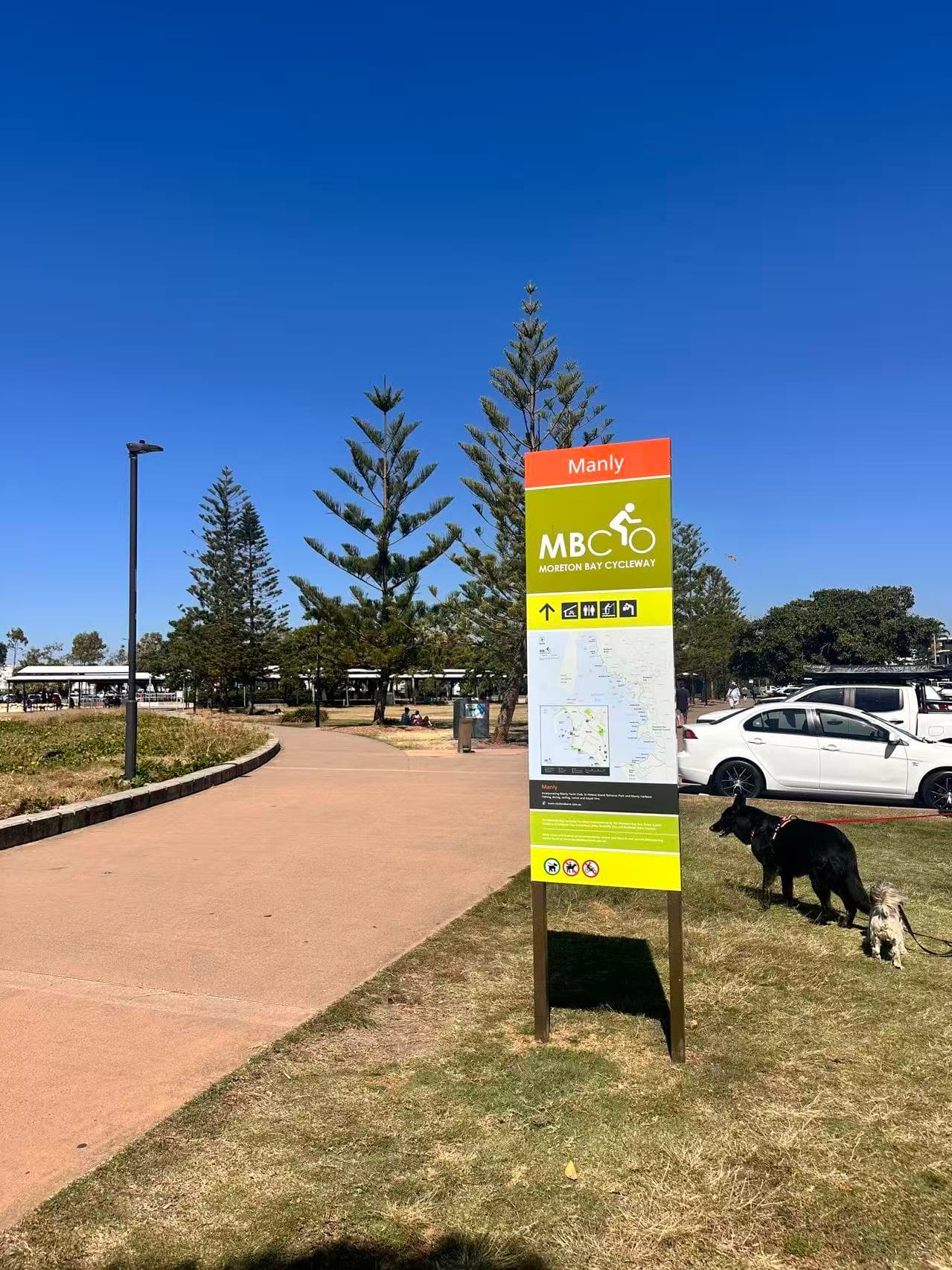 Moreton Bay Cycleway (Wynnum to Manly) – dog-friendly walk in Wynnum