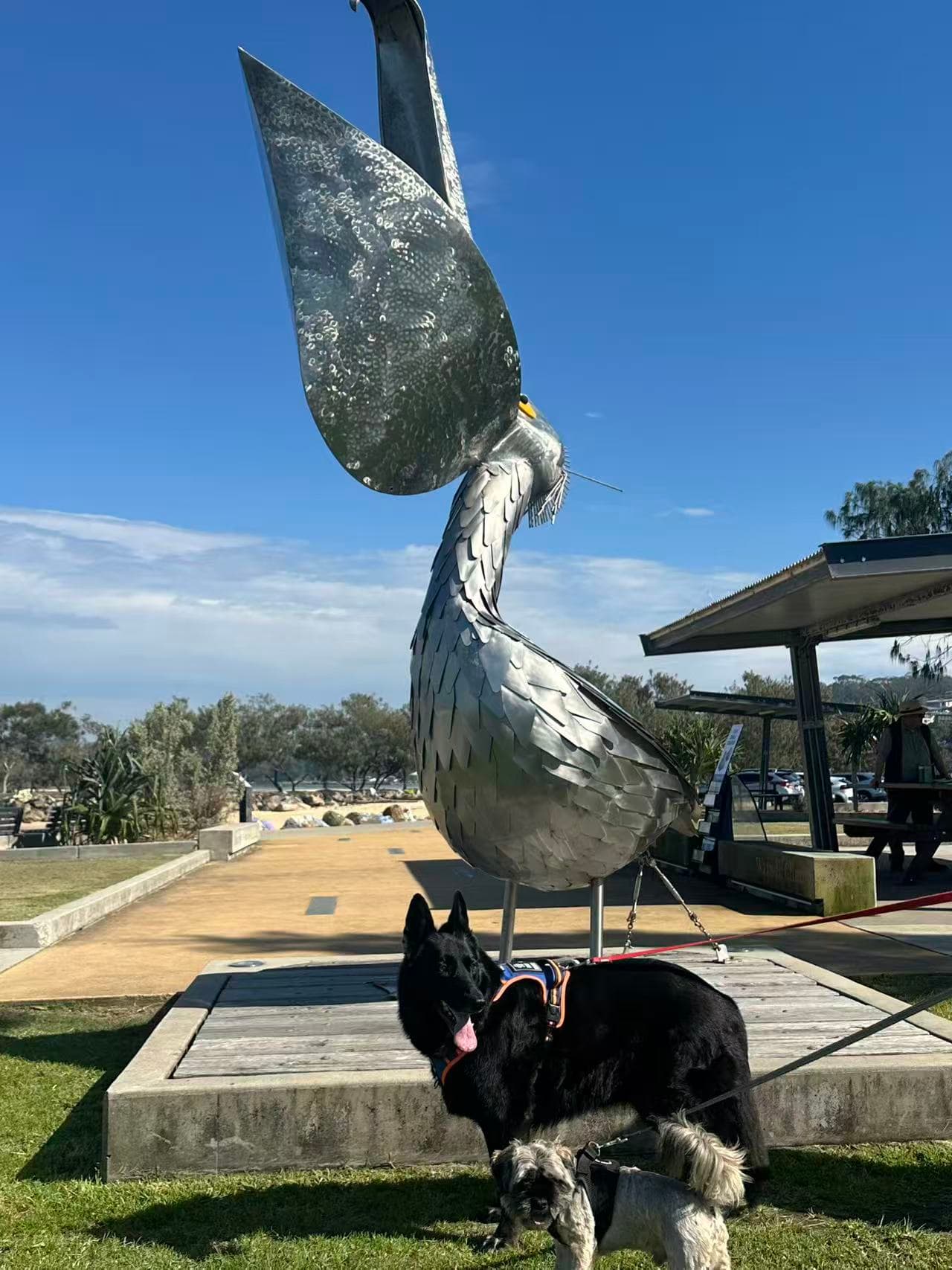 Nyambagga Walking Trail (Nyambaga Bindarray Public Art Trail) – dog-friendly walk in Nambucca Heads