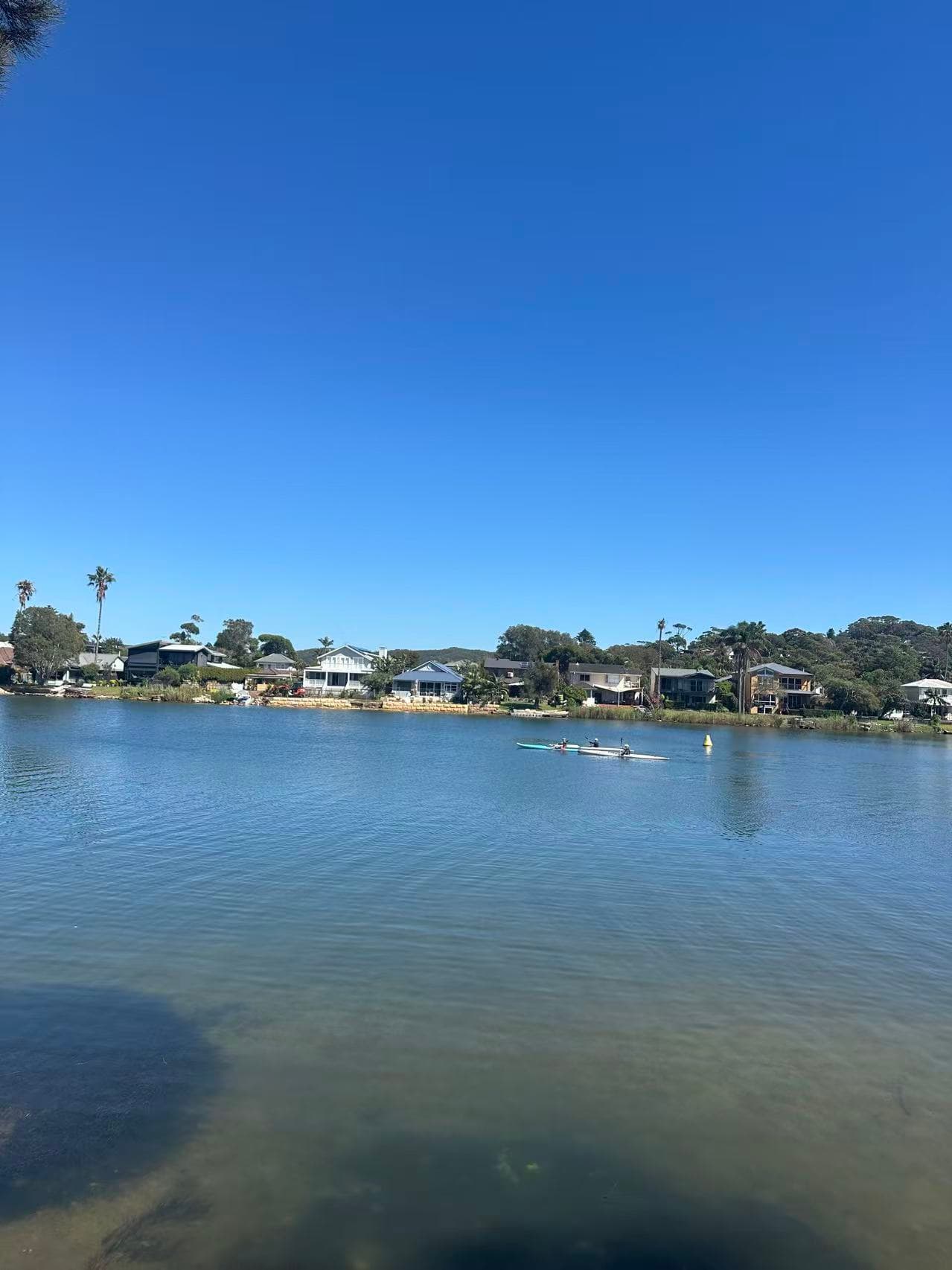 Narrabeen Lagoon Trail: Sydney’s Scenic Dog-Friendly Lakeside Escape