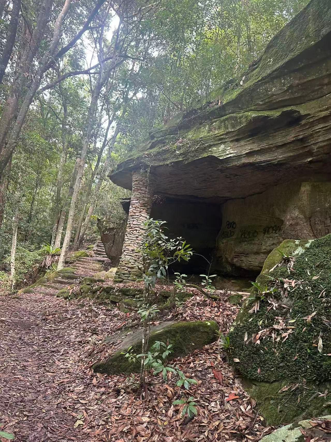 Two Creeks Track: A Sydney Bushland Secret for Leashed Pup Adventures