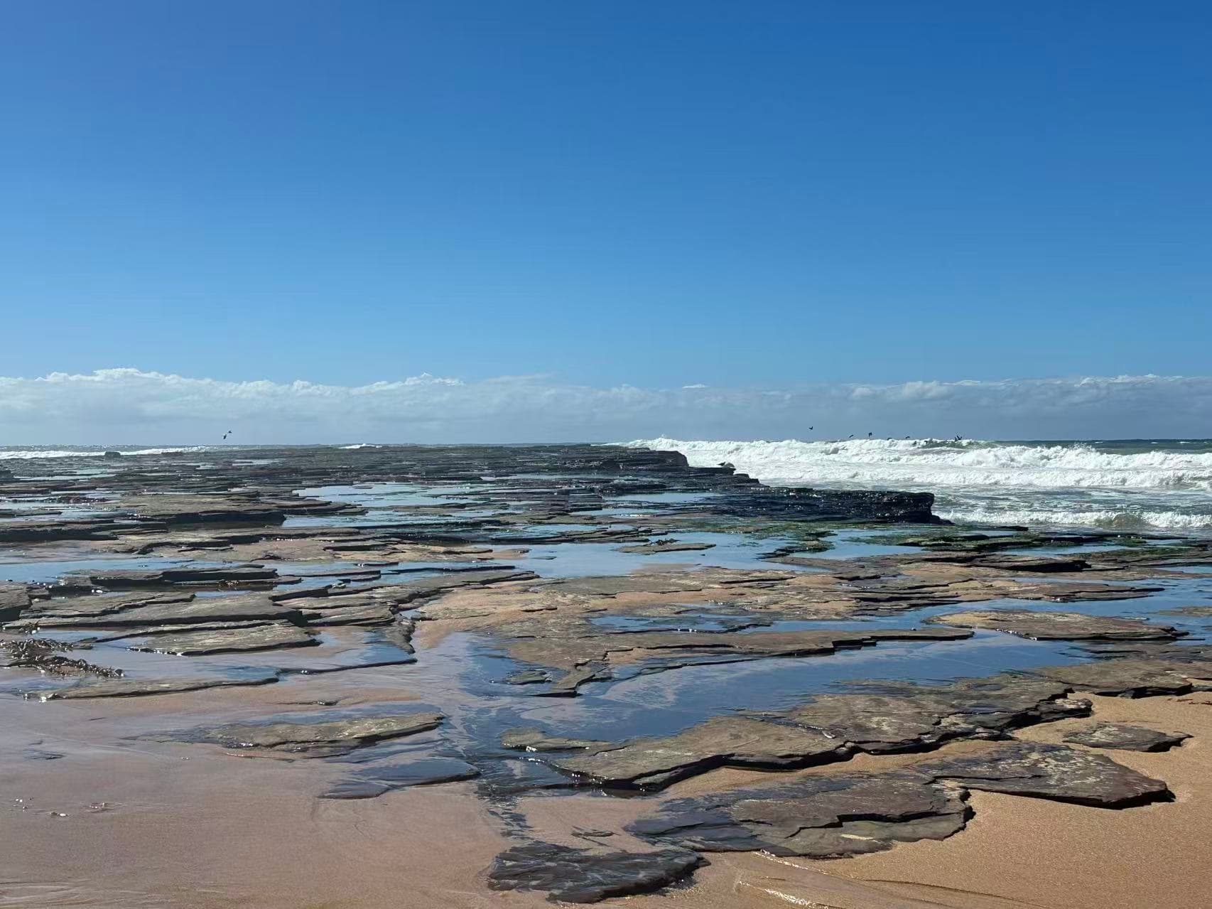 Sharky Beach: A Perfect Day Trip from Sydney with Your Pup – Beaches, Bridges & Small-Town Eats