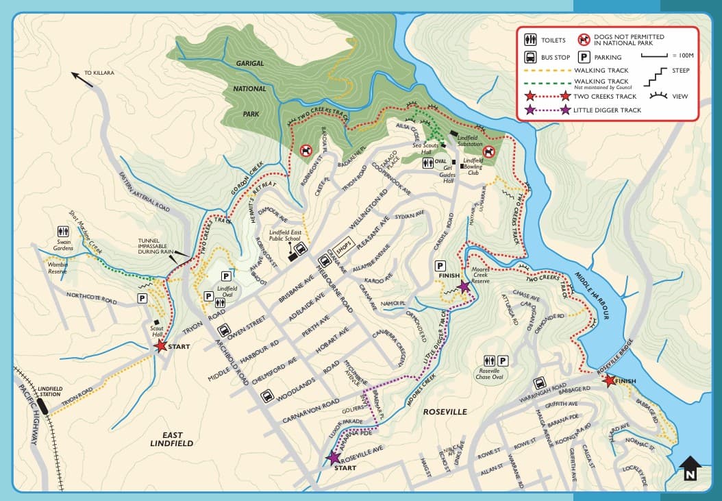 Two Creeks Track: A Sydney Bushland Secret for Leashed Pup Adventures
