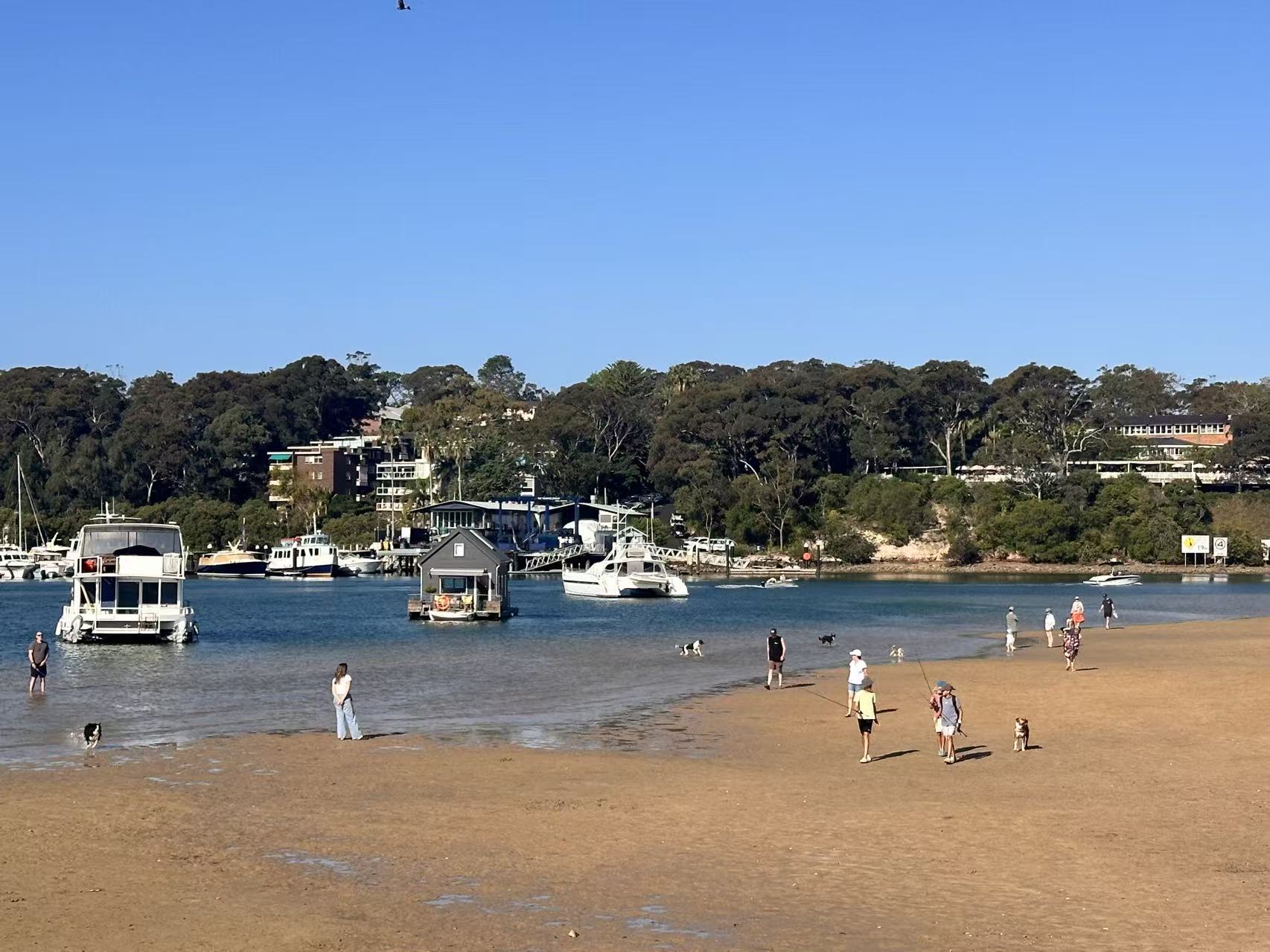 Bayview Dog Beach (Rowland Reserve)