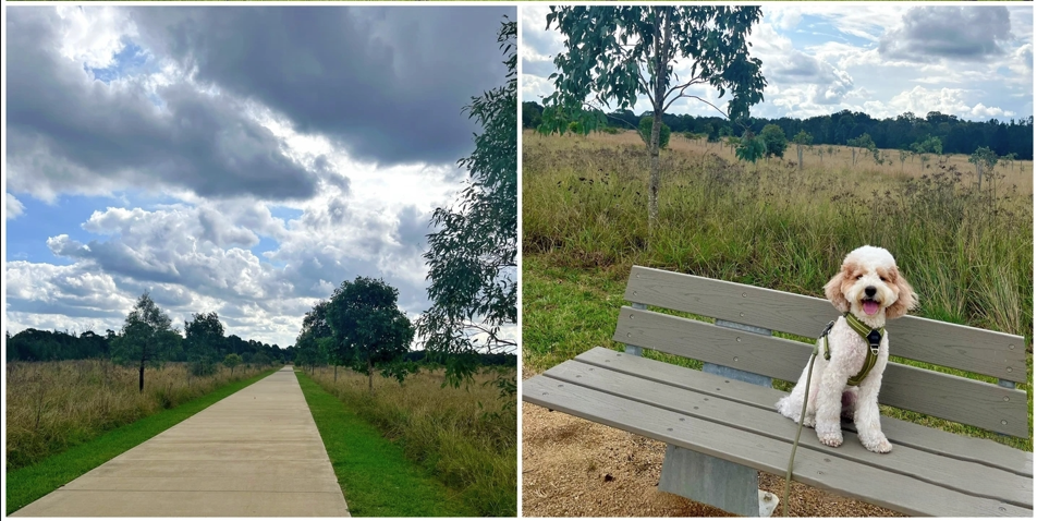 Bungarribee Park