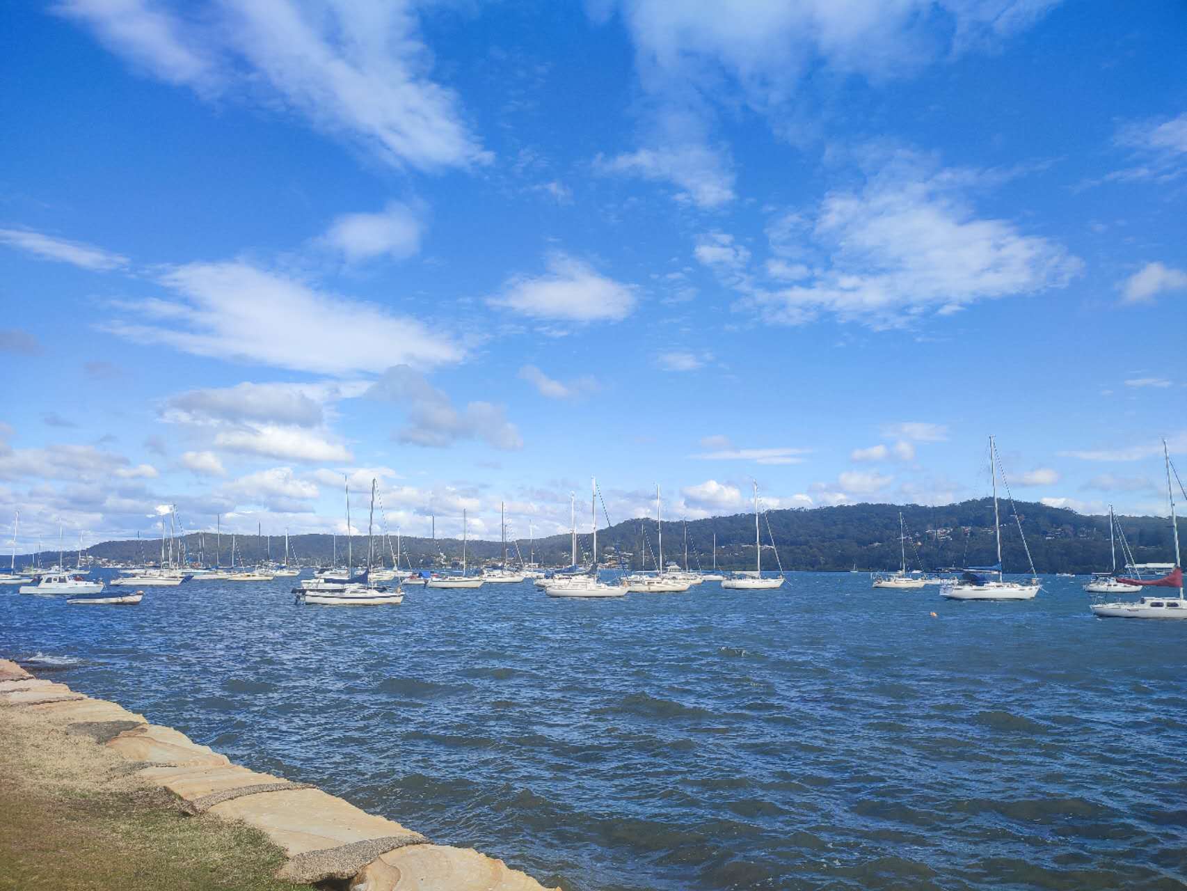 Burns Bay Reserve to Tennyson Park Walk – dog-friendly walk in Riverview