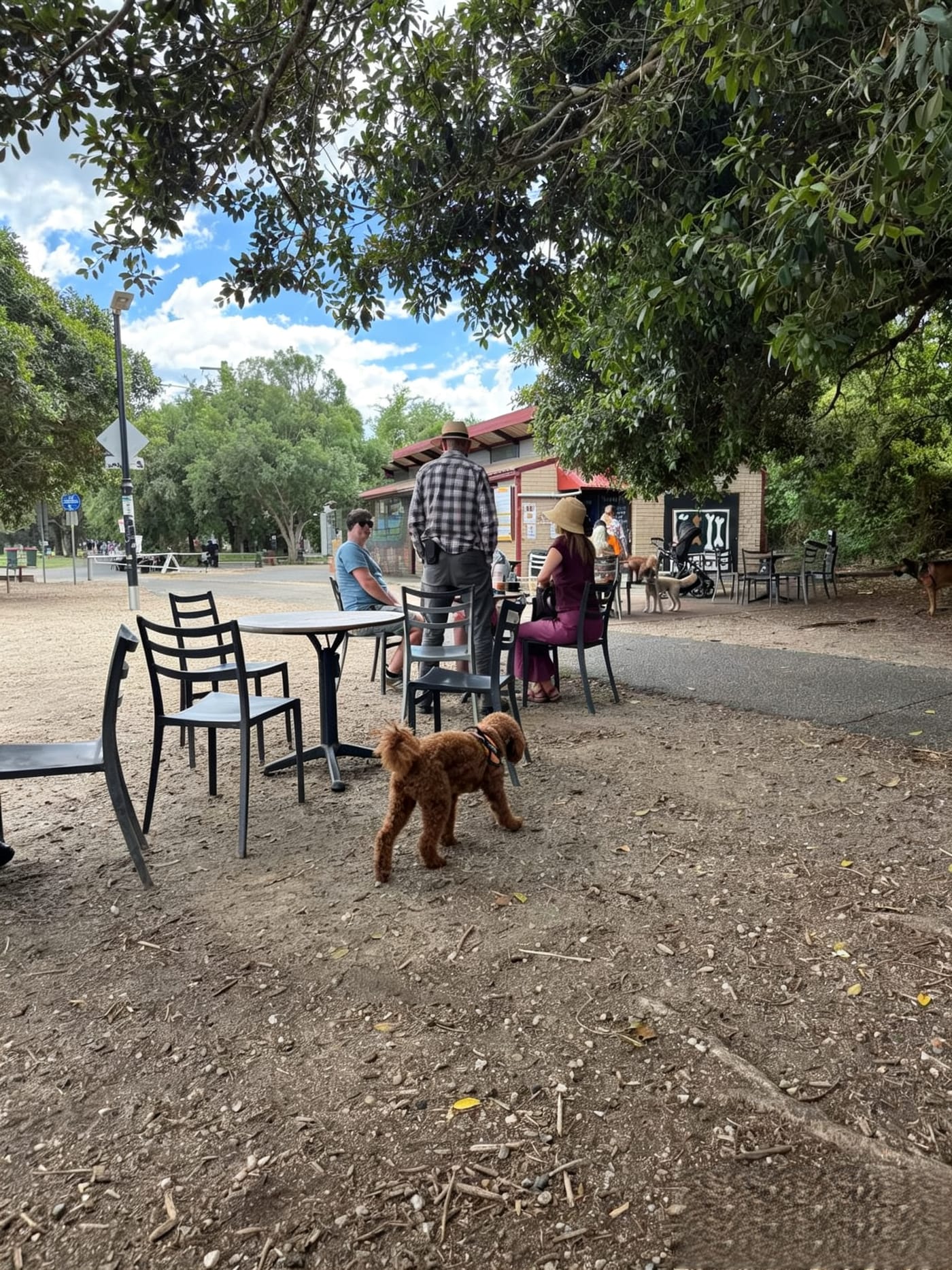 Best Dog-Friendly Cafes in Sydney