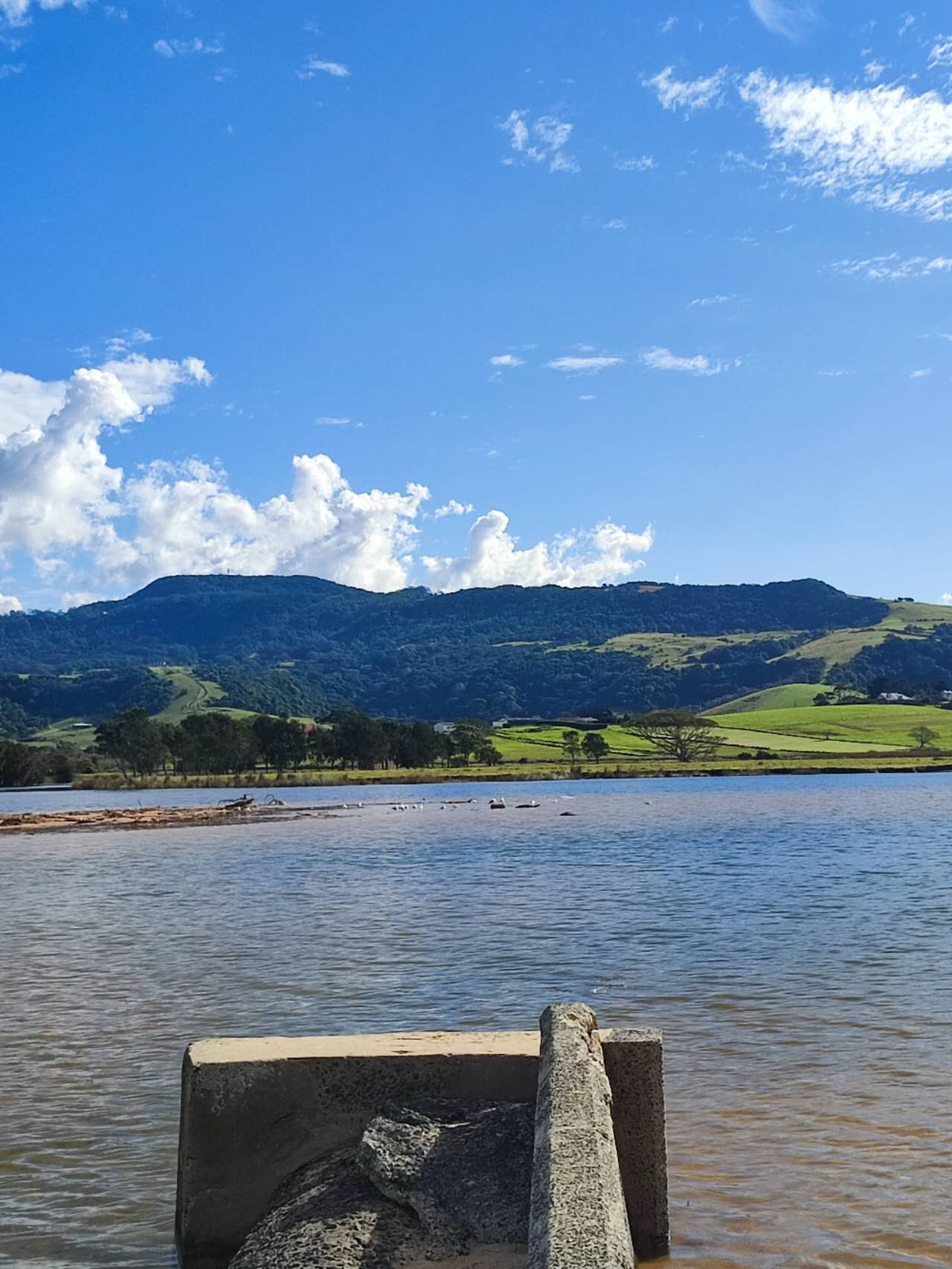 Clontarf Reserve – dog-friendly beach in Clontarf