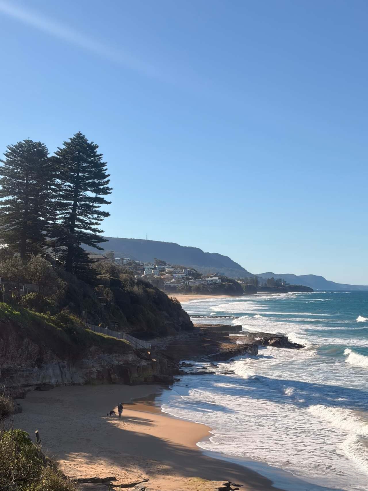 Fairy Meadow Beach – dog-friendly beach in Fairy Meadow