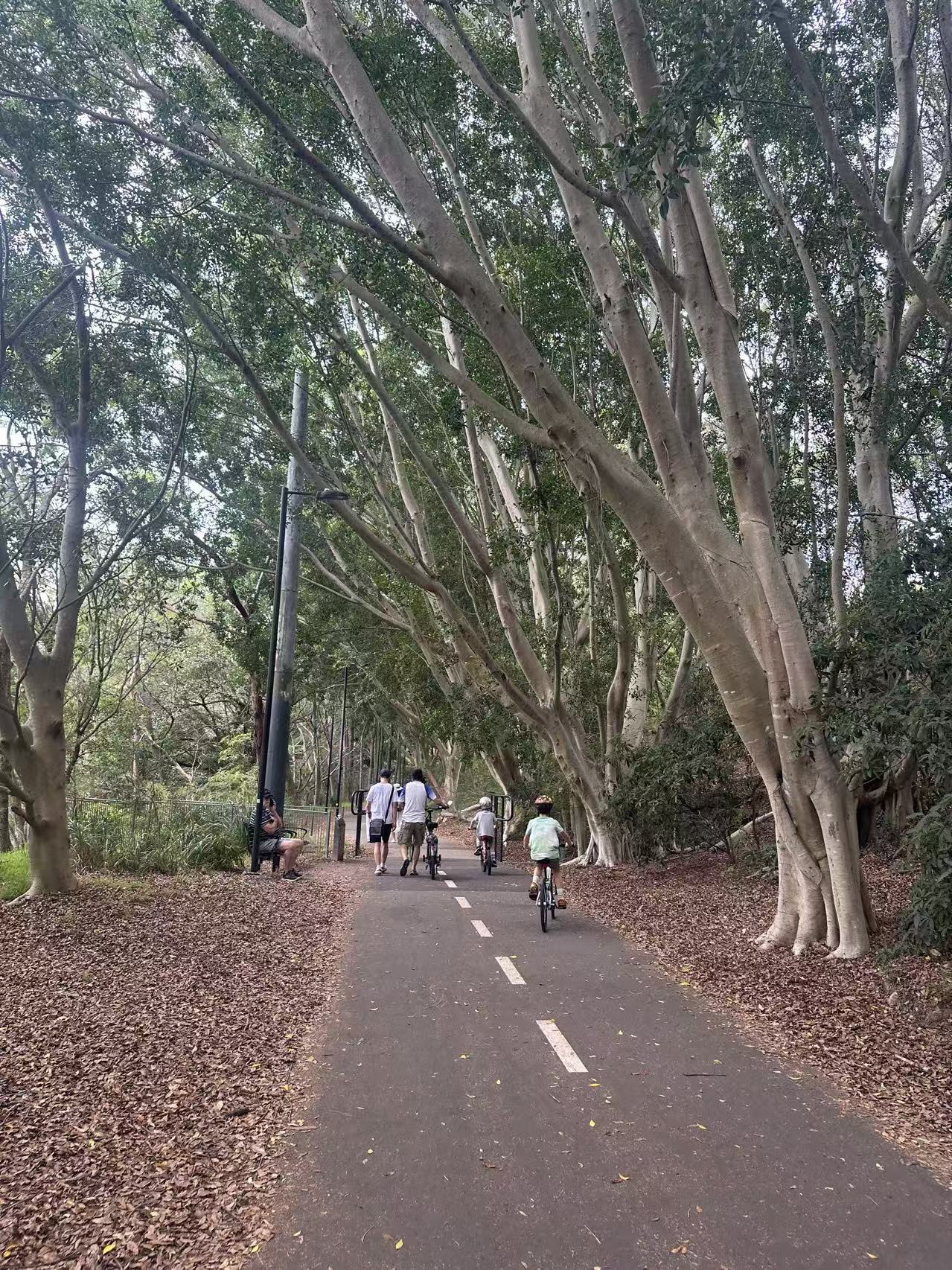 GreenWay Walk – dog-friendly walk in Leichhardt