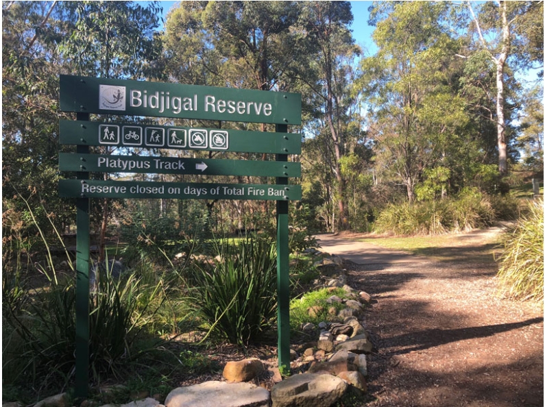 Knapsack Zig Zag Trail – dog-friendly walk in Glenbrook