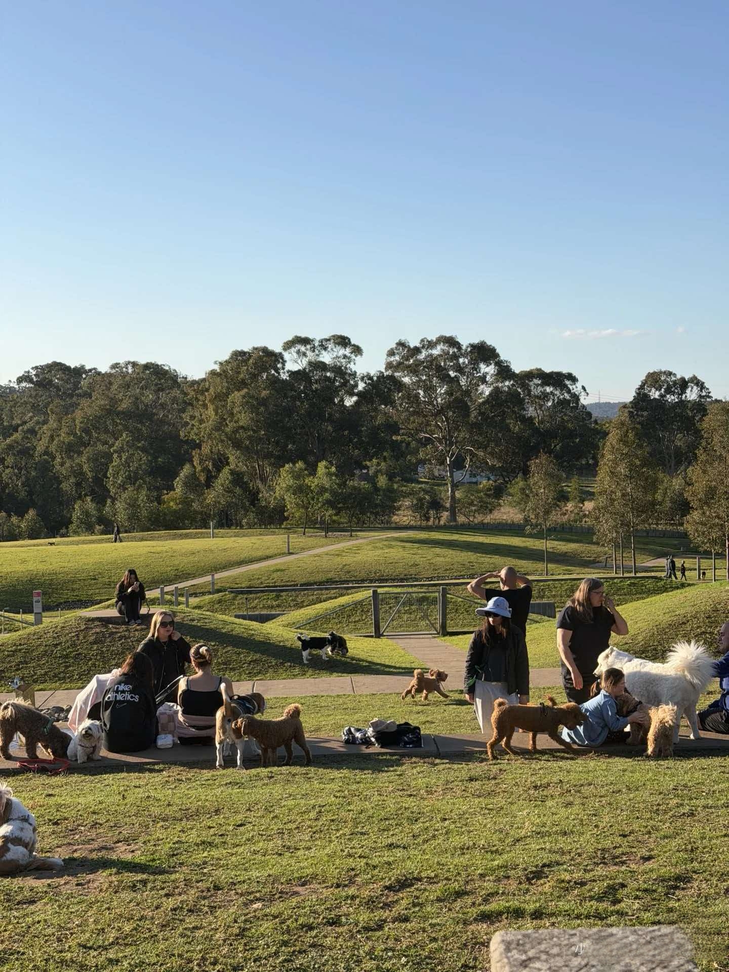 Shale Hills Fenced Dog Park – dog-friendly park in West Hoxton