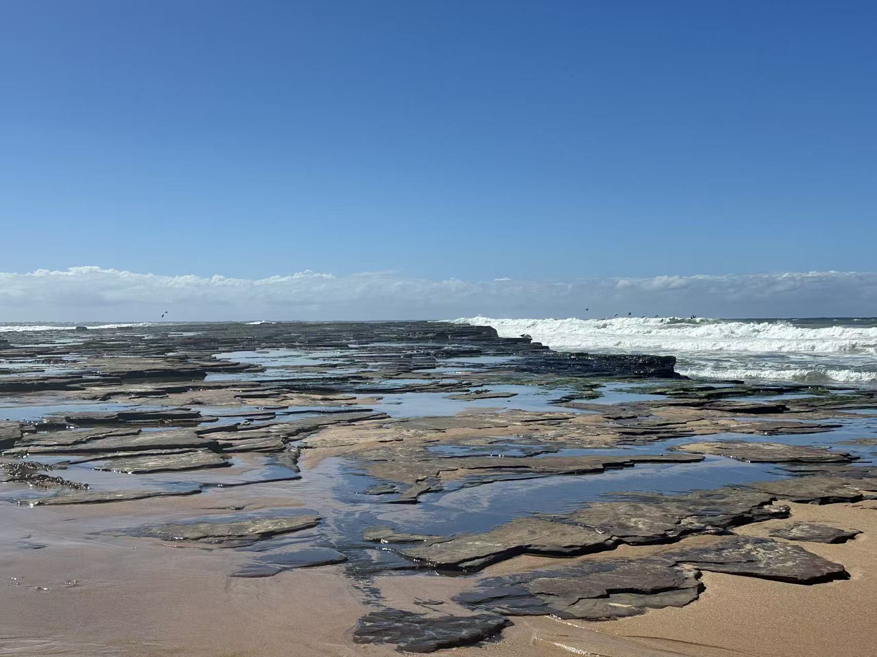 Sharky Beach – dog-friendly beach in Coledale