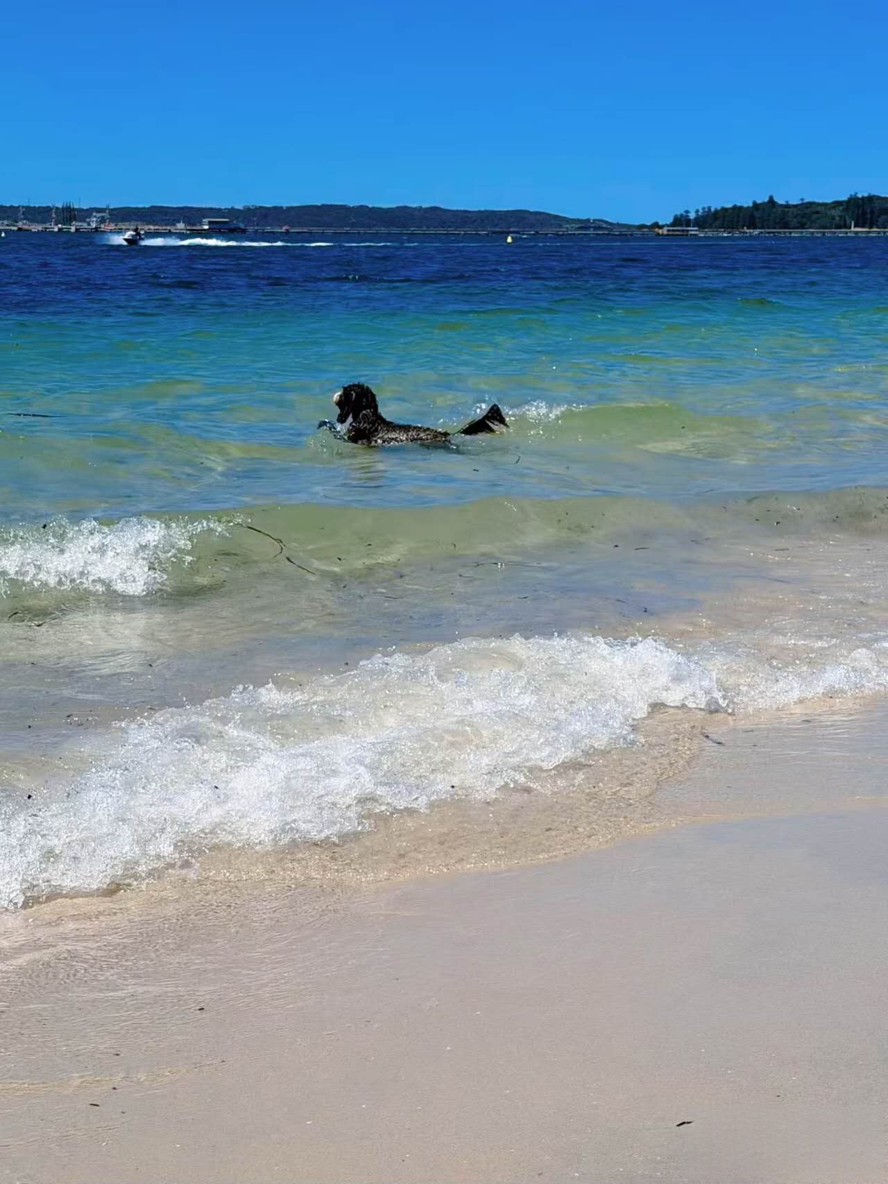 Silver Beach (Bonna Point Off-leash)